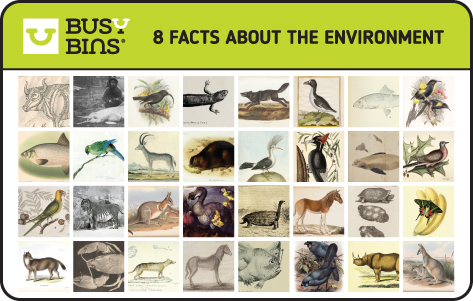 8 Facts about the Environment. Animal Extinction caused by humans. 32 anatomical, scientific artists drawings of animals that that have become extinct due to humans. 