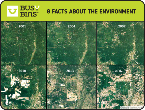 8 Facts about the Environment. Amazon Deforestation. 6 satellite images showing deteriorating forest cover and deforestation over time. The 6 images are each from 2001, 2204, 2207, 2010,2013 and 2016. 