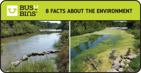 8 Facts about the Environment. Another side by side image of the same river. In the image on the left is a clean river on a summers day, the same river then photographed from the same position showing the same river but with algae and pollution and stagnation. 