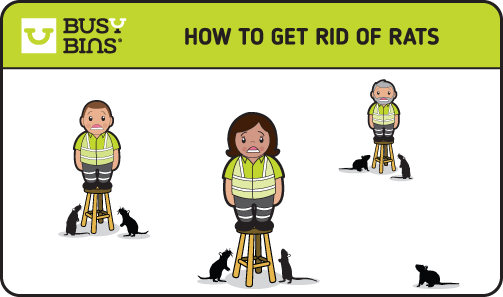  Cartoon of three people standing on stools, each surrounded by rats. The text at the top reads "HOW TO GET RID OF RATS" with the Busy Bins logo on the left.