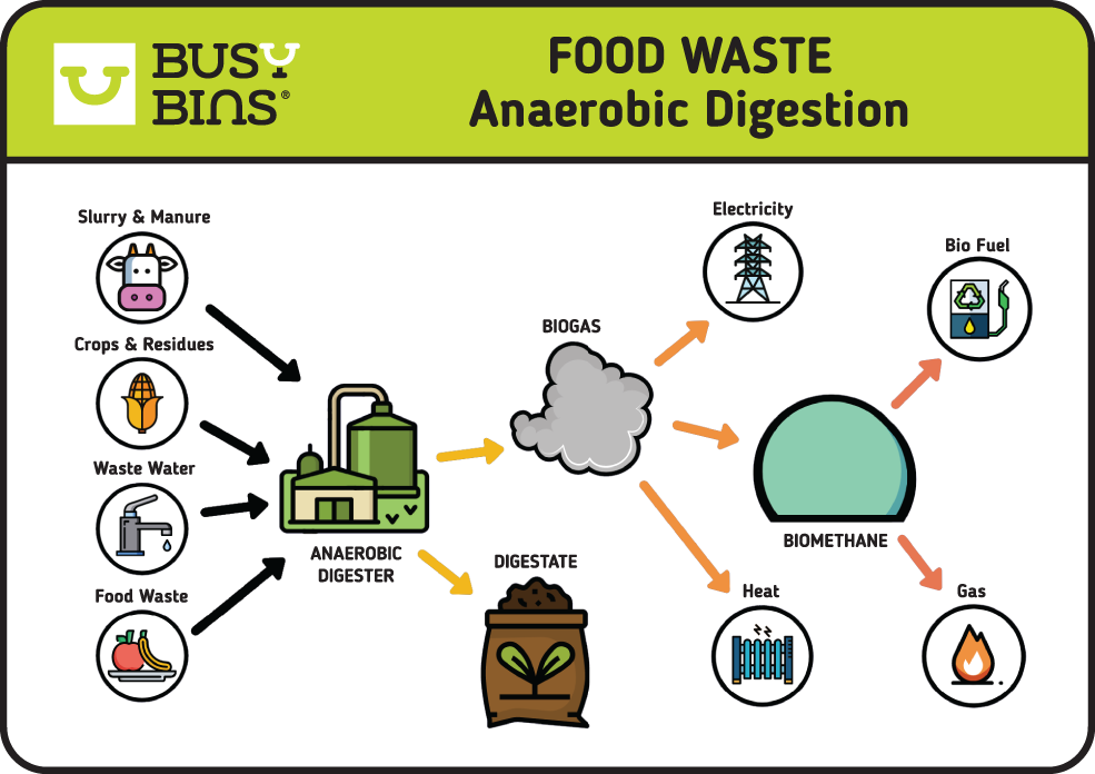 Food Waste Recycling Guide | Reduce Waste & Help The Environment